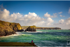 Kyanance Cove Cornwall - 5745